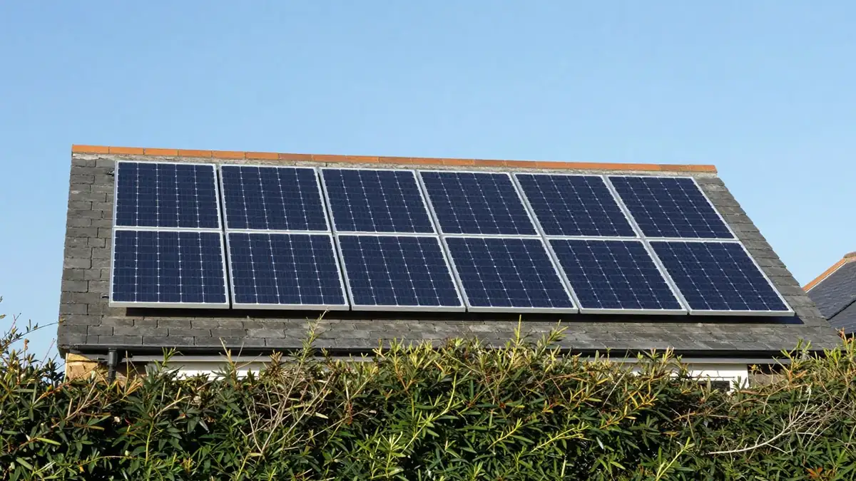 A solar panel array on a slate roof seen from below, with a hedge in the foreground and a clear sky